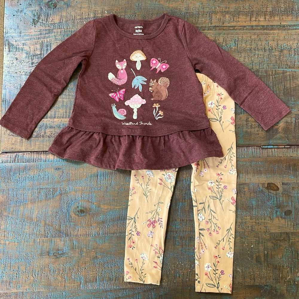 Carter’s toddler girl, long sleeve brown top size 3T. Forest print and glitter.
